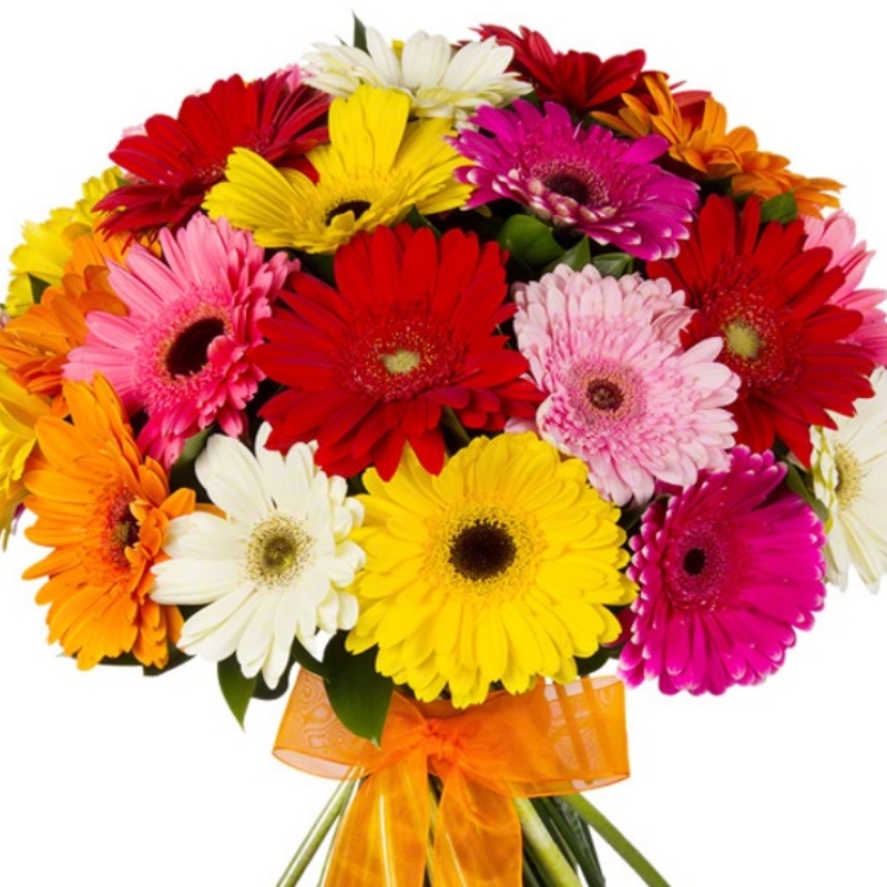 Букет MIX из 31 гербера