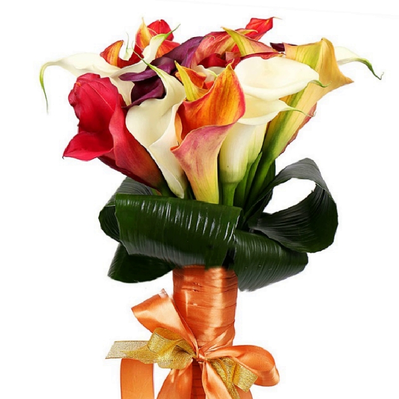 Букет MIX из 21 каллы